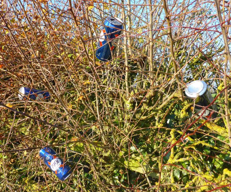 Litter picking on Swangleys Lane