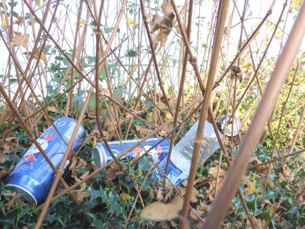 Litter picking on Swangleys Lane